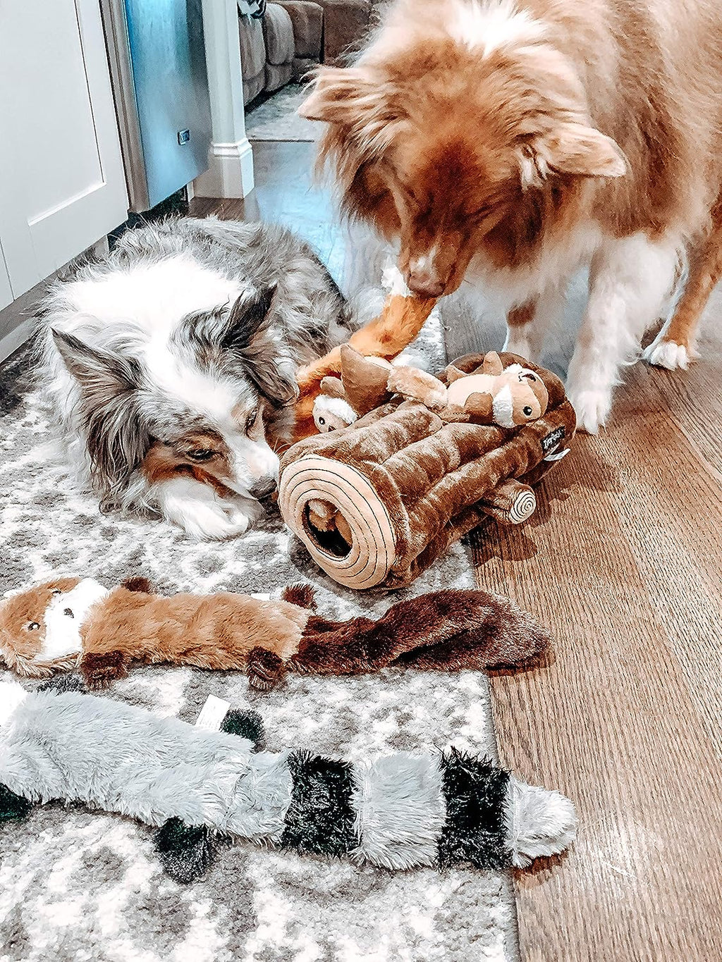 Durable crinkle plush dog toy with built-in squeakers and no stuffing mess! Perfect for small & medium dogs. 
Choose from raccoon or squirrel designs. Shop now!