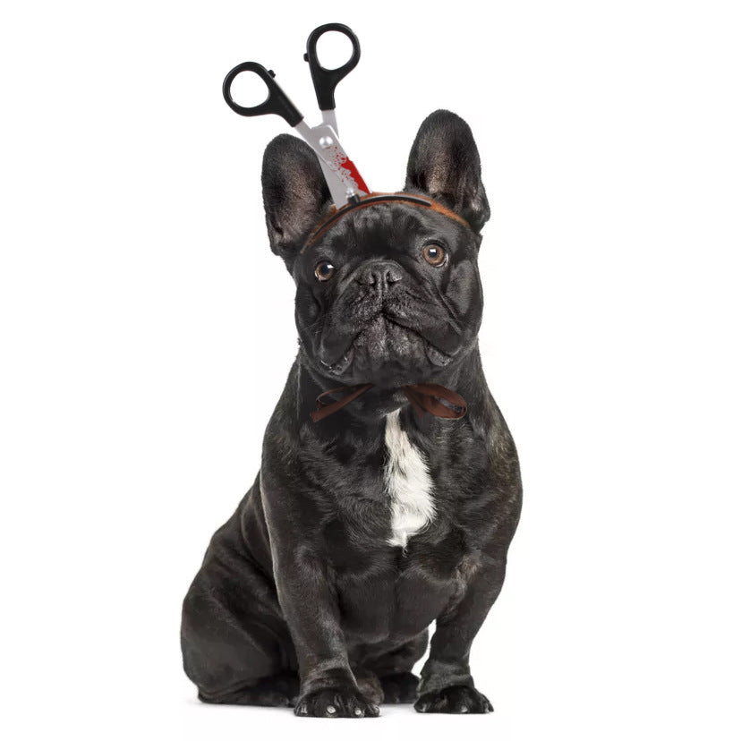 Dress up your pet with PetCute Halloween headgear! Fun costume headbands for dogs & cats in 8 styles. 
Available in S & M sizes. Shop at PawSylo!
