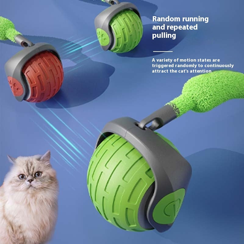 Entertain your cat with this smart self-rolling toy ball! USB rechargeable interactive teaser for cats & kittens. 
Available in emerald green, orange red & sapphire blue.