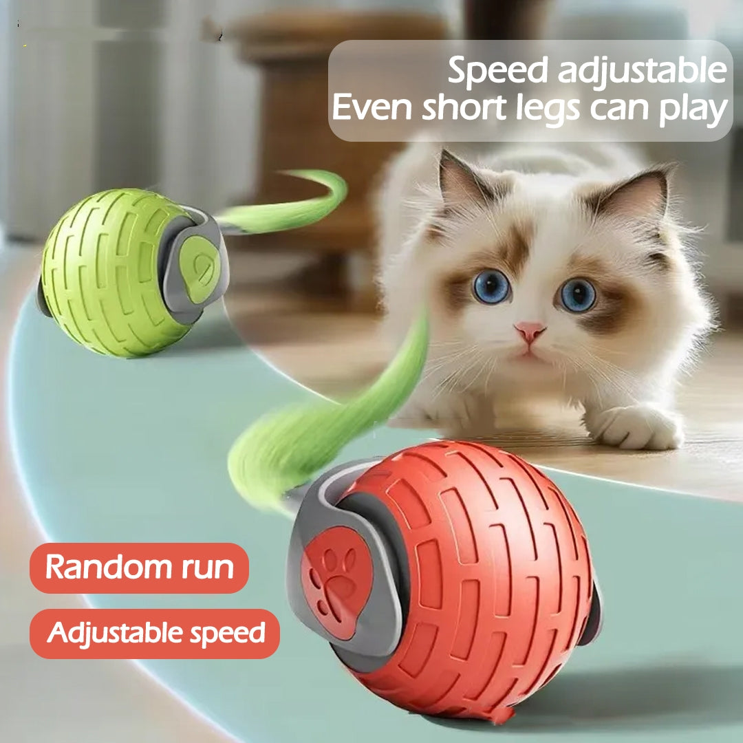 Entertain your cat with this smart self-rolling toy ball! USB rechargeable interactive teaser for cats & kittens. 
Available in emerald green, orange red & sapphire blue.